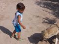 Little girl and a dog