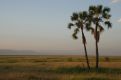 Sunset at Lake Manyara