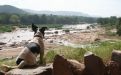 Dog looking out over the Athiriver